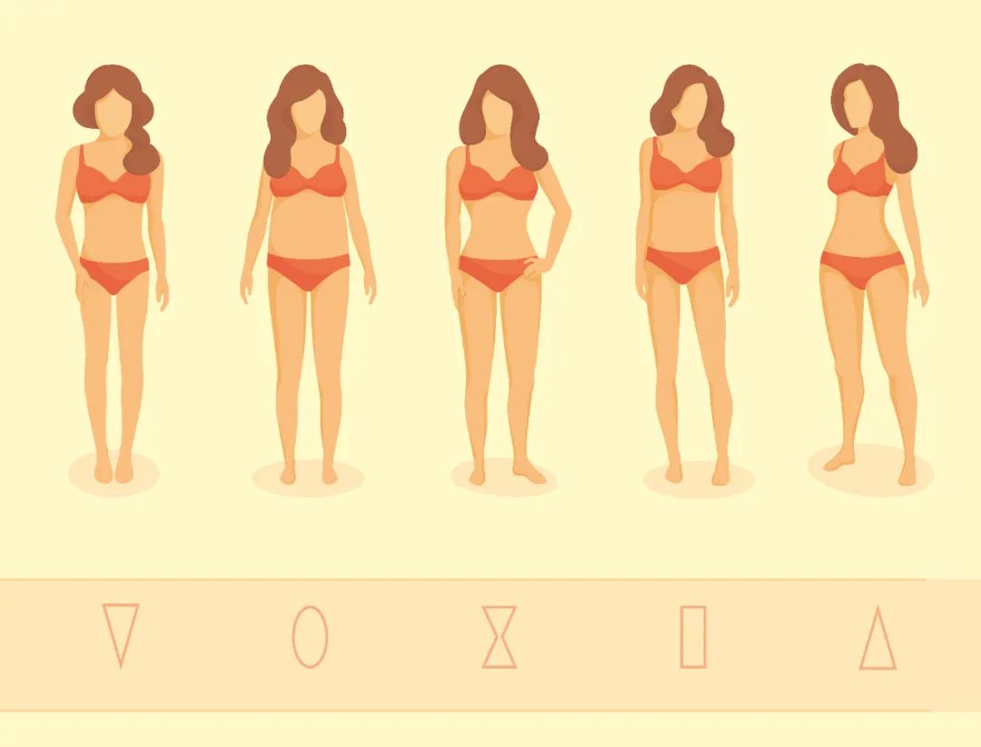 梨形？苹果形？沙漏形？你的体形反映健康状况 | 科学减重一起来