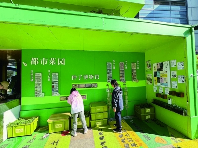 南京建邺区中城社区打造的多功能综合性儿童活动空间。 南京日报/紫金山新闻记者 祝东秀 摄