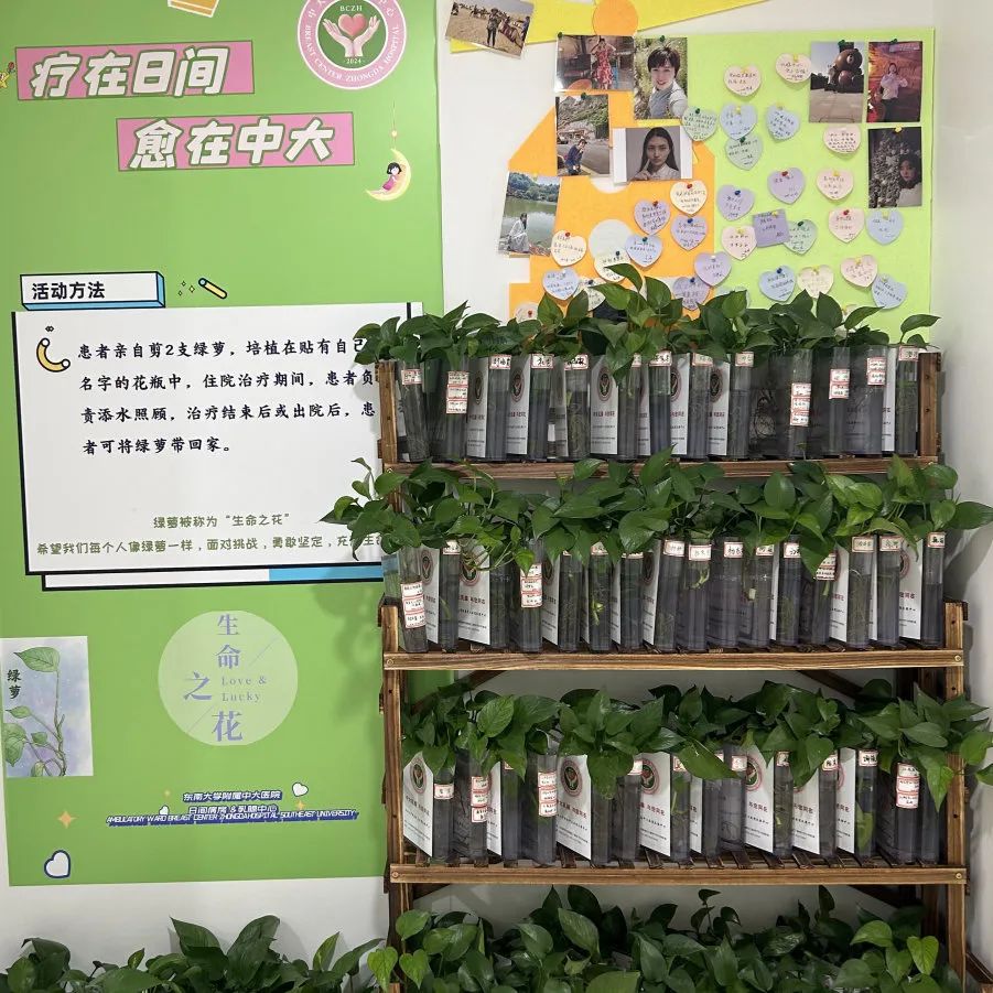 一场特殊的“生命接力”……