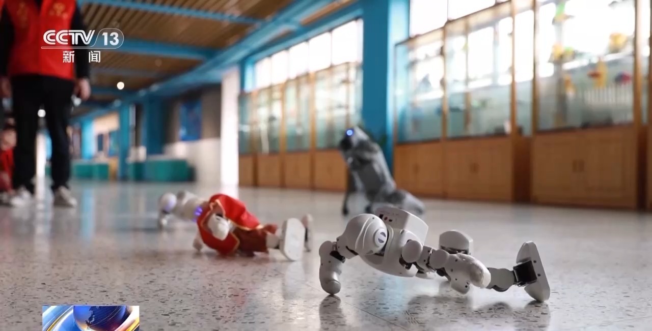 和机器狗赛跑、在科考船上课 这些中小学科学课太酷啦！