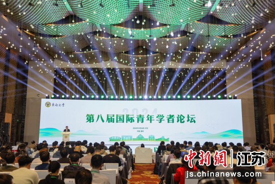 东南大学第八届国际青年学者论坛在南京举办。中新网记者 泱波 摄